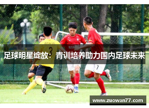 足球明星绽放：青训培养助力国内足球未来